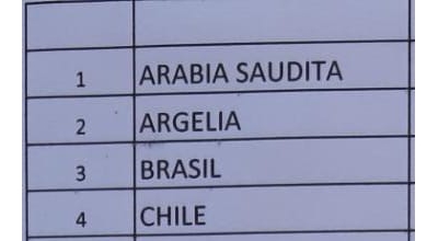 Simulacro Naciones Unidas